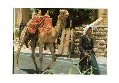 Ansichtskarte Altstadt-Szene / Jerusalem / Israel
