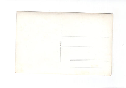 Ansichtskarte Damenportrait / Junge Frau