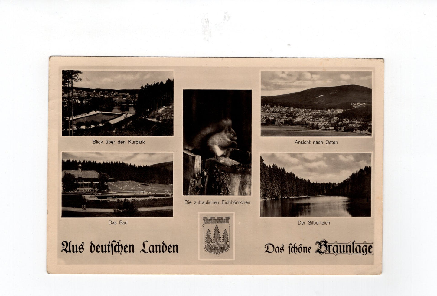 Ansichtskarte Braunlage / Das Bad / Der Silberteich +++