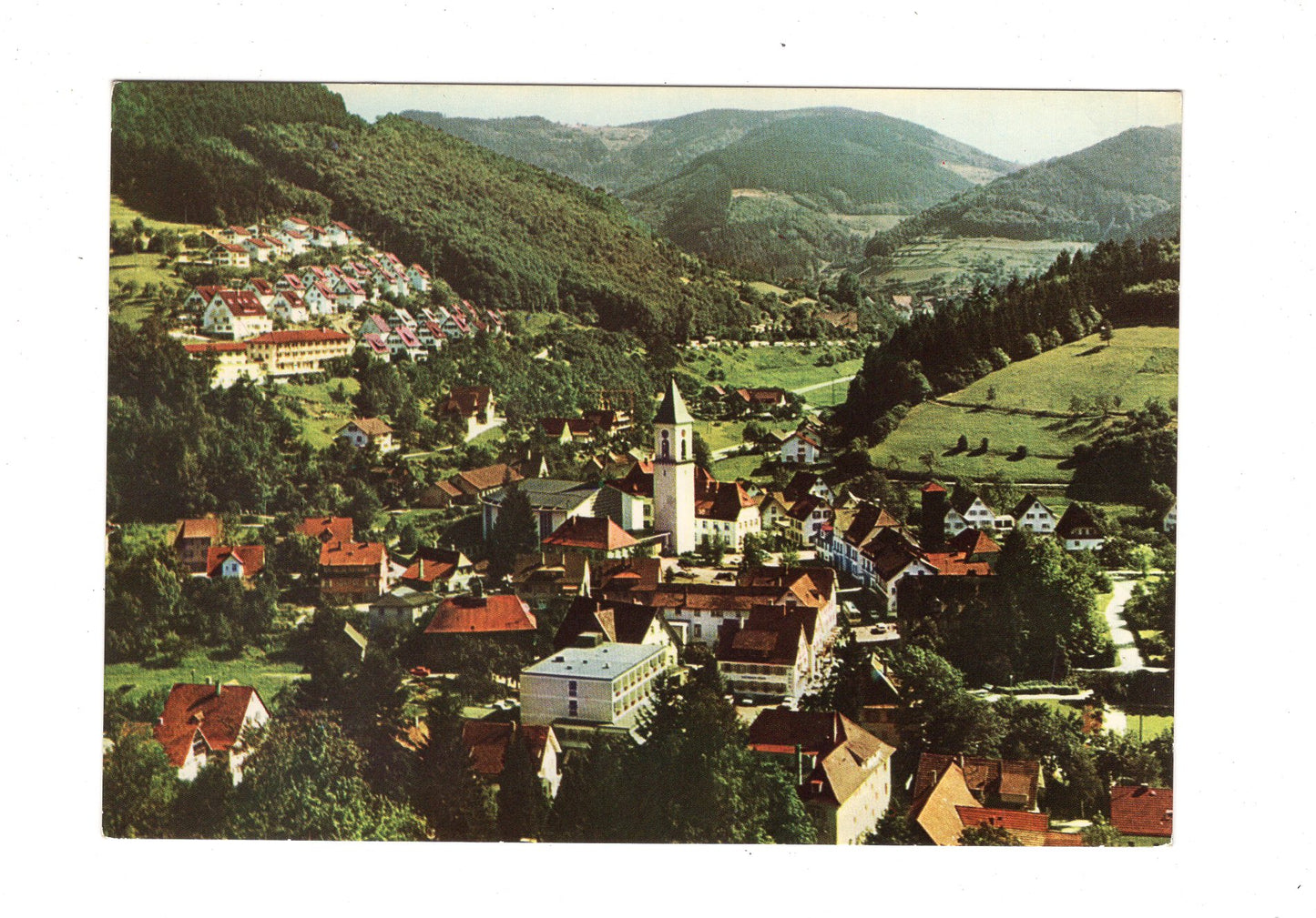 Ansichtskarte Ottenhöfen im Schwarzwald / Blick auf Sauerberg +++ / G1-70