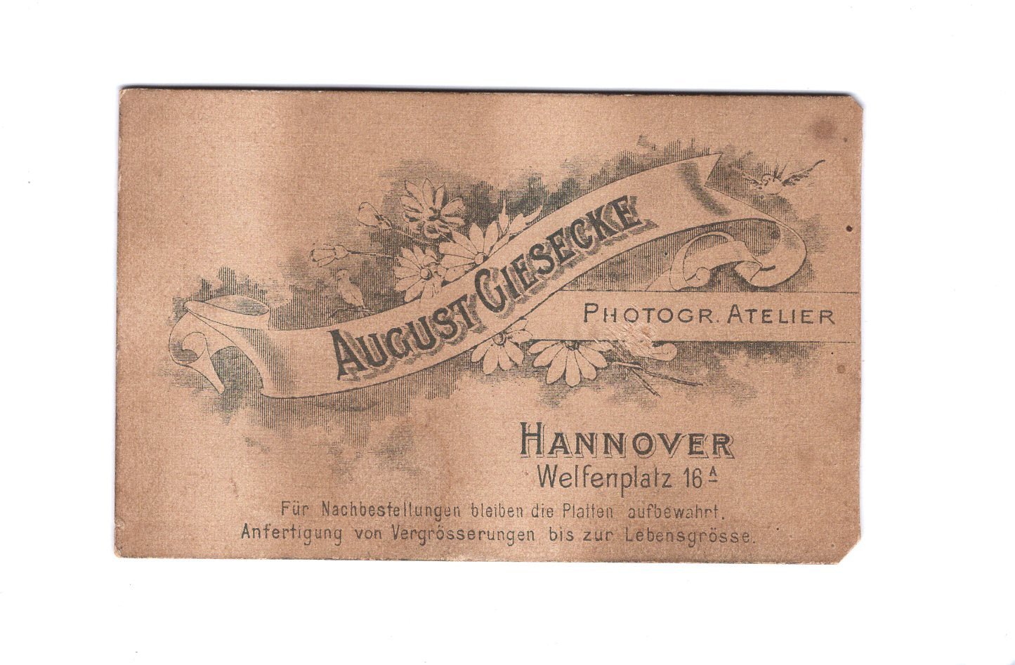 Fotografie Niedliches kleines Mädchen - Hannover 1890er