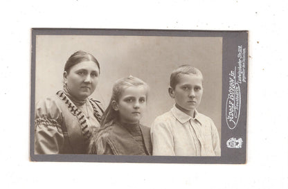 Fotografie Feine Dame mit Kindern - Neustadt i. M. 1900er