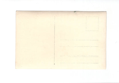 Ansichtskarte Damenportrait / Junge Frau