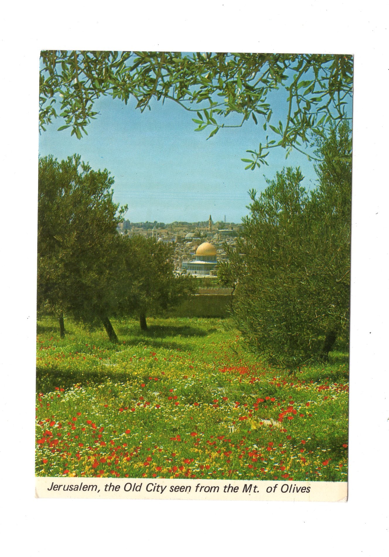 Ansichtskarte Blick vom Ölberg auf Jerusalem / Israel