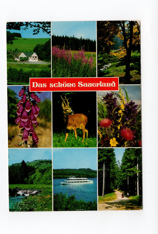 Ansichtskarte Das schöne Sauerland