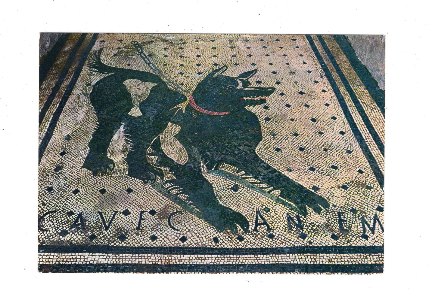Ansichtskarte Pompei / Cave Canem / Italien / N1-59