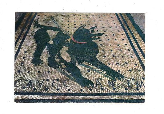 Ansichtskarte Pompei / Cave Canem / Italien / N1-59