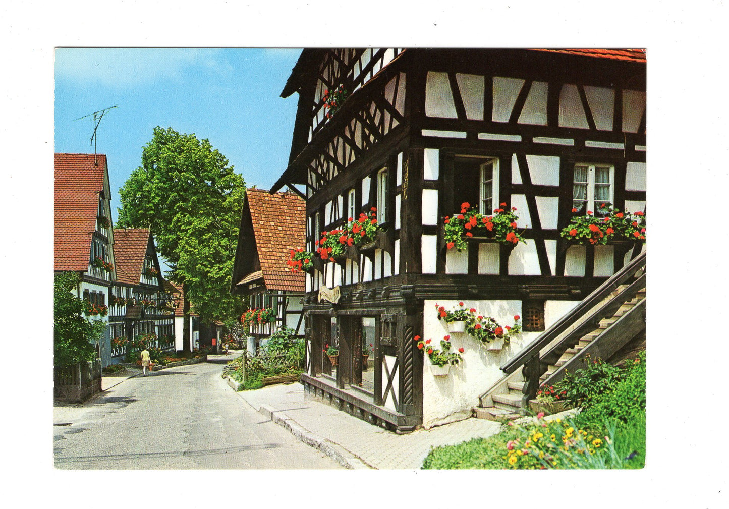 Ansichtskarte Sasbachwalden im badischen Schwarzwald / G1-70