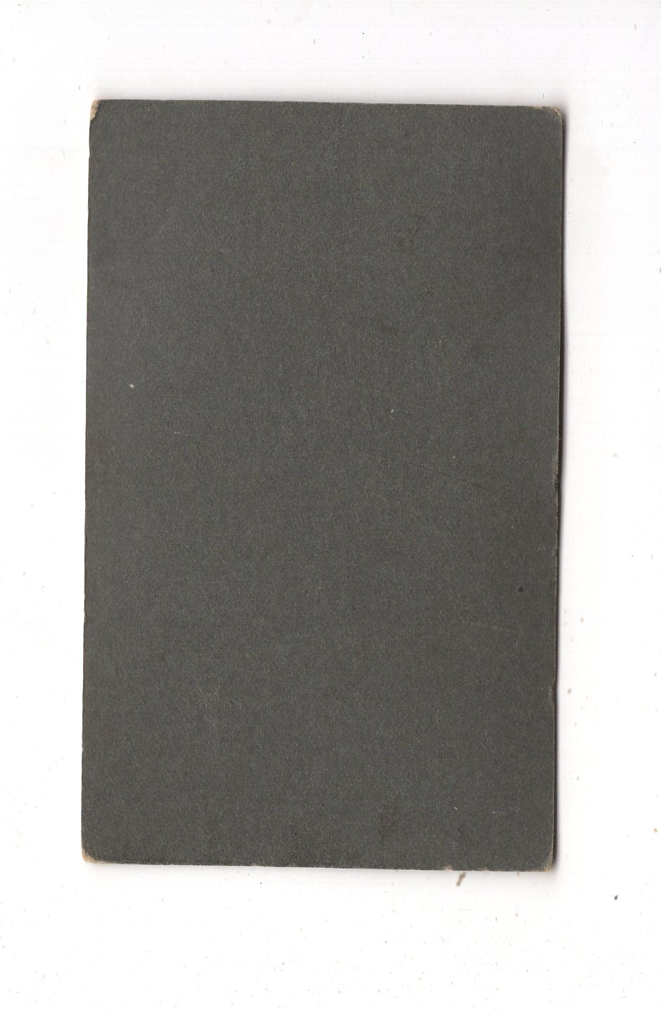 Fotografie Feiner Junge - Lüneburg / Bleckede 1900er / CDV N1-03