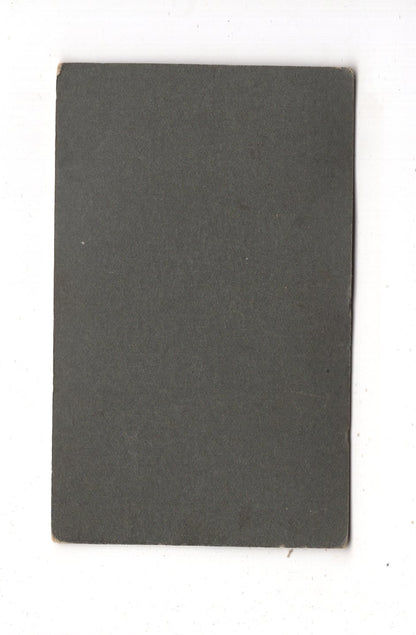 Fotografie Feiner Junge - Lüneburg / Bleckede 1900er / CDV N1-03
