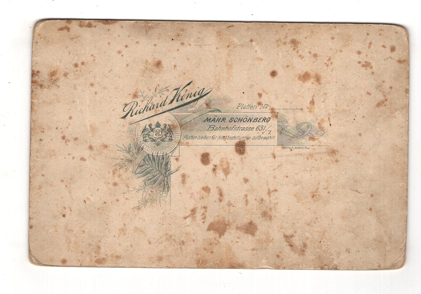 Fotografie Schönes Familienbild - Mährisch Schönberg um 1900