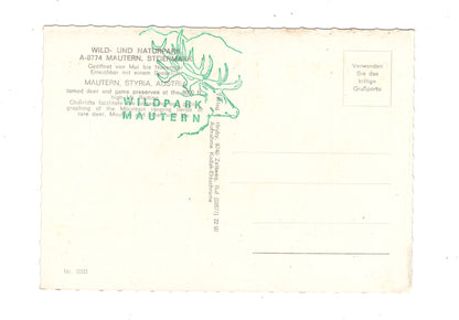 Ansichtskarte Wildpark Mautern / Steiermark / Österreich