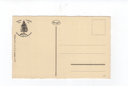 Ansichtskarte Schierke am Brocken