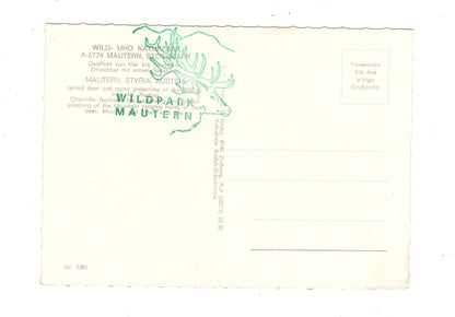 Ansichtskarte Wildpark Mautern / Steiermark / Österreich