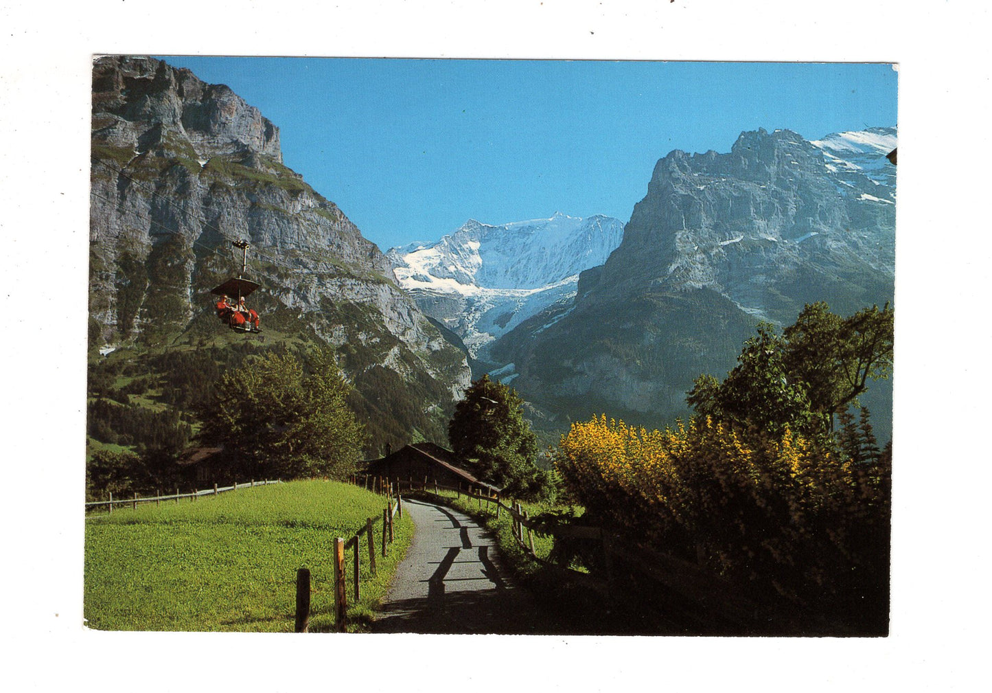 Ansichtskarte Grindelwald / Firstbahn / Fiescherwand / Schweiz