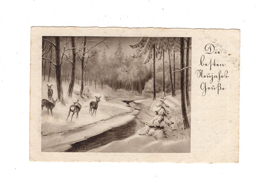 Ansichtskarte Feiertage / Frohes neues Jahr / L1-52