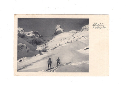 Ansichtskarte Feiertage / Frohes neues Jahr / L1-52