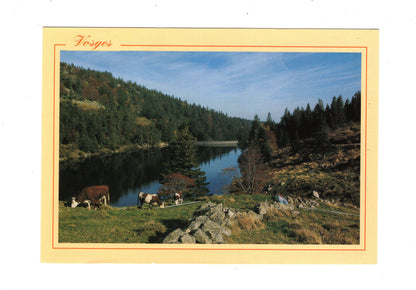 Ansichtskarte Vosges / Lac du Forlet / Frankreich