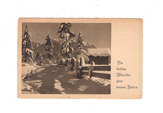 Ansichtskarte Feiertage / Frohes neues Jahr / L1-52