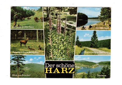 Ansichtskarte Harz / Am Oderteich +++ / K1-53