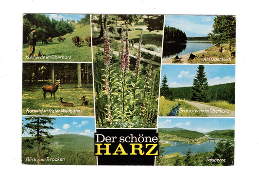 Ansichtskarte Harz / Am Oderteich +++ / K1-53
