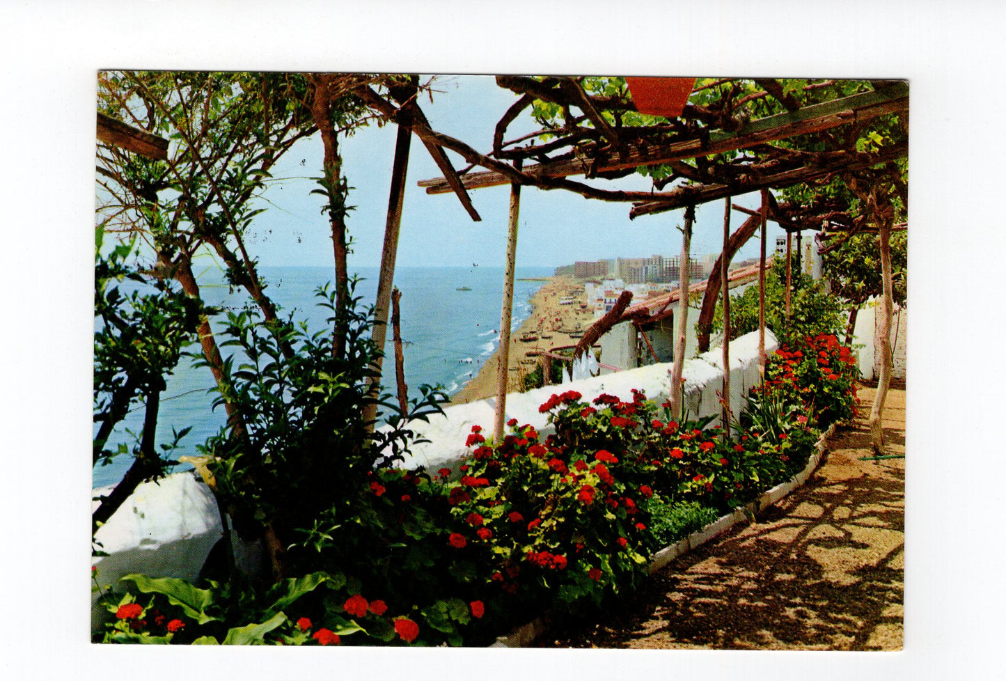 Ansichtskarte Torremolinos / Costa del Sol / Spanien