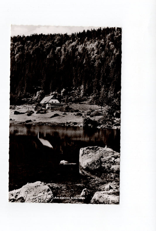 Ansichtskarte Am kleinen Arbersee