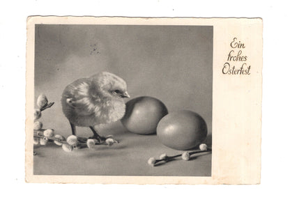Ansichtskarte Feiertage / Frohe Ostern / L1-52