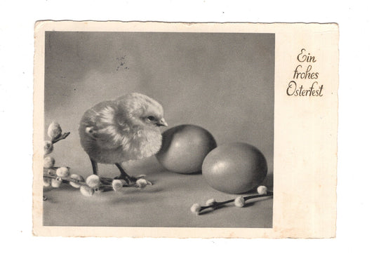 Ansichtskarte Feiertage / Frohe Ostern / L1-52