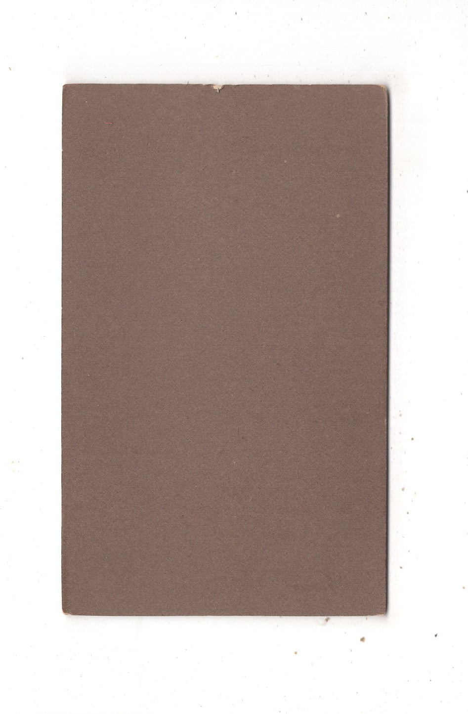 Fotografie Feine Dame - Northeim 1880er