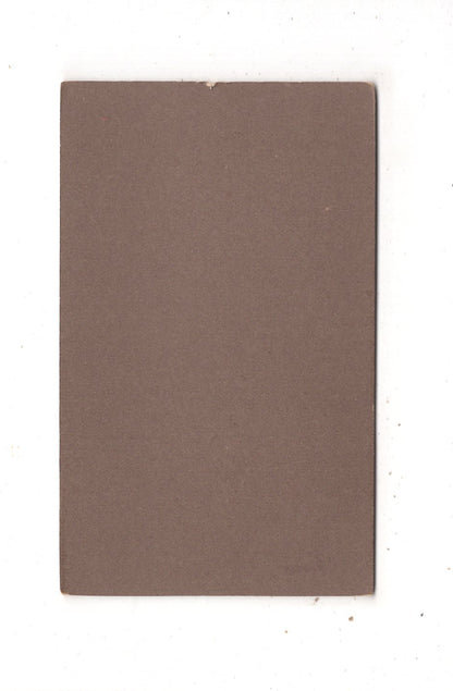 Fotografie Feine Dame - Northeim 1880er