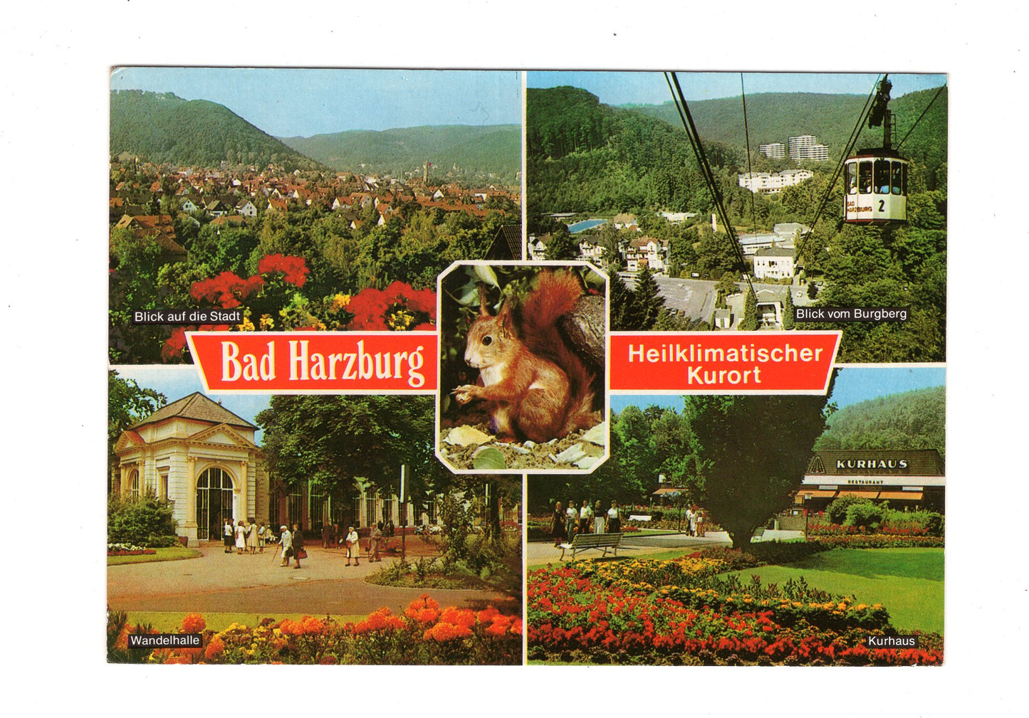 Ansichtskarte Bad Harzburg / Wandelhalle / Kurhaus +++