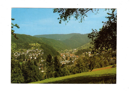 Ansichtskarte Oppenau im Renchtal / Schwarzwald / G1-70