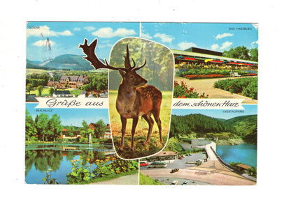 Ansichtskarte Harz / Braunlage / Goslar +++ / J1-61