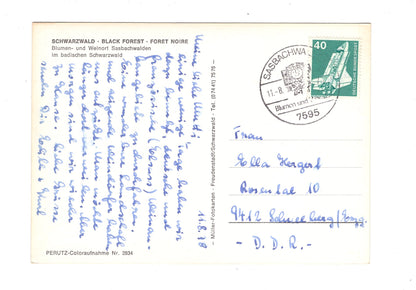 Ansichtskarte Sasbachwalden im badischen Schwarzwald / G1-70