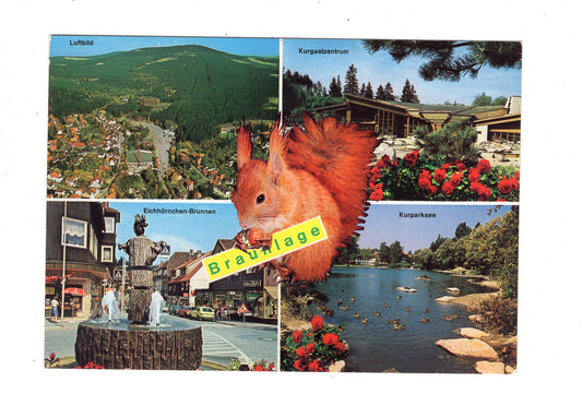 Ansichtskarte Braunlage im Oberharz / Kurgastzentrum +++ / K1-54