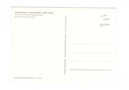 Ansichtskarte Sasbachwalden im badischen Schwarzwald / G1-70