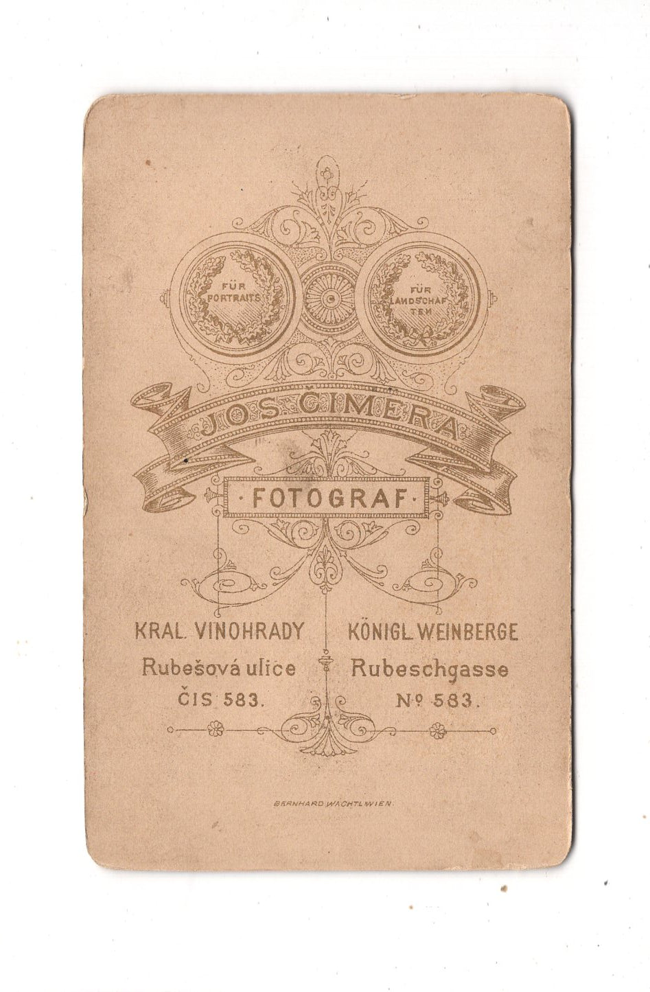 Fotografie Feine Dame - Kral. Vinohrady 1880er