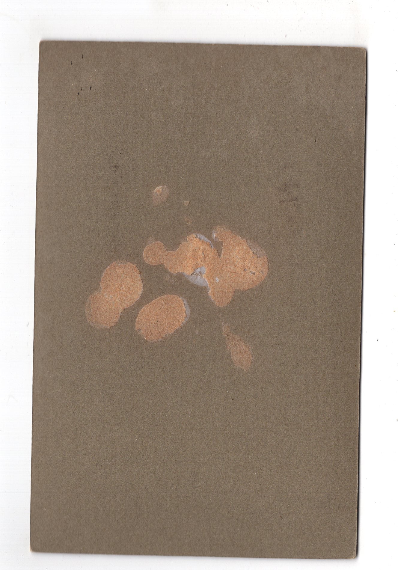 Fotografie Älteres Paar - Kassel um 1910 / CAB X-29