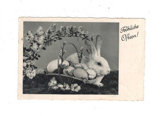 Ansichtskarte Feiertage / Frohe Ostern / L1-52