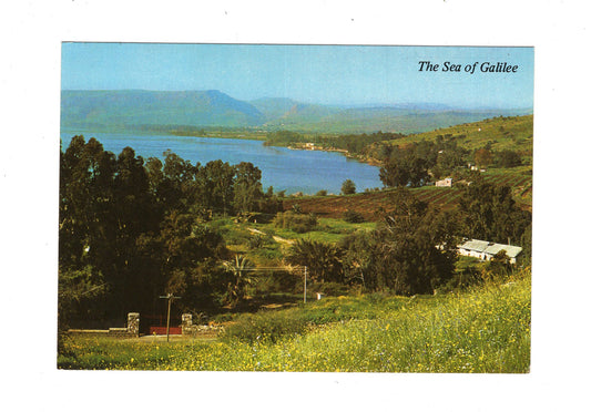 Ansichtskarte Tiberias-See / Israel