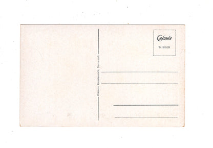 Ansichtskarte Traben-Trarbach an der Mosel / Ruine Grevenburg / M1-59