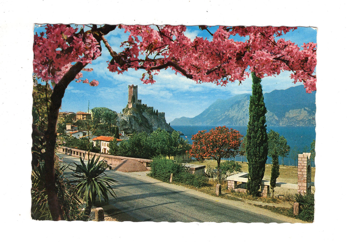 Ansichtskarte Lago di Garda / Malcesine / Italien