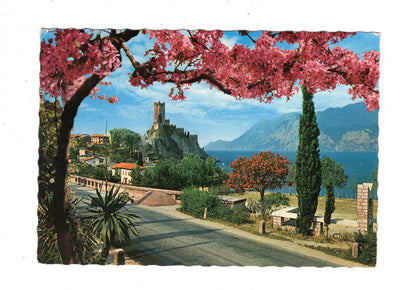 Ansichtskarte Lago di Garda / Malcesine / Italien