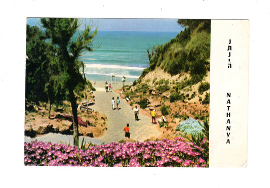 Ansichtskarte Nathanya / Israel