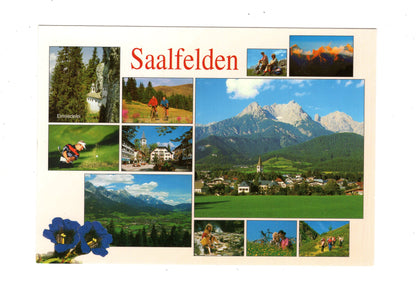 Ansichtskarte Saalfelden / Salzburger Land / Österreich
