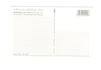 Ansichtskarte Saalfelden / Salzburger Land / Österreich