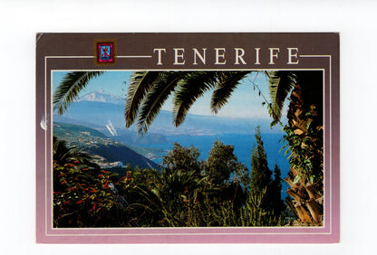 Ansichtskarte El Sausal / Teneriffa / Spanien