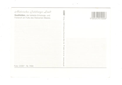 Ansichtskarte Saalfelden / Salzburger Land / Österreich