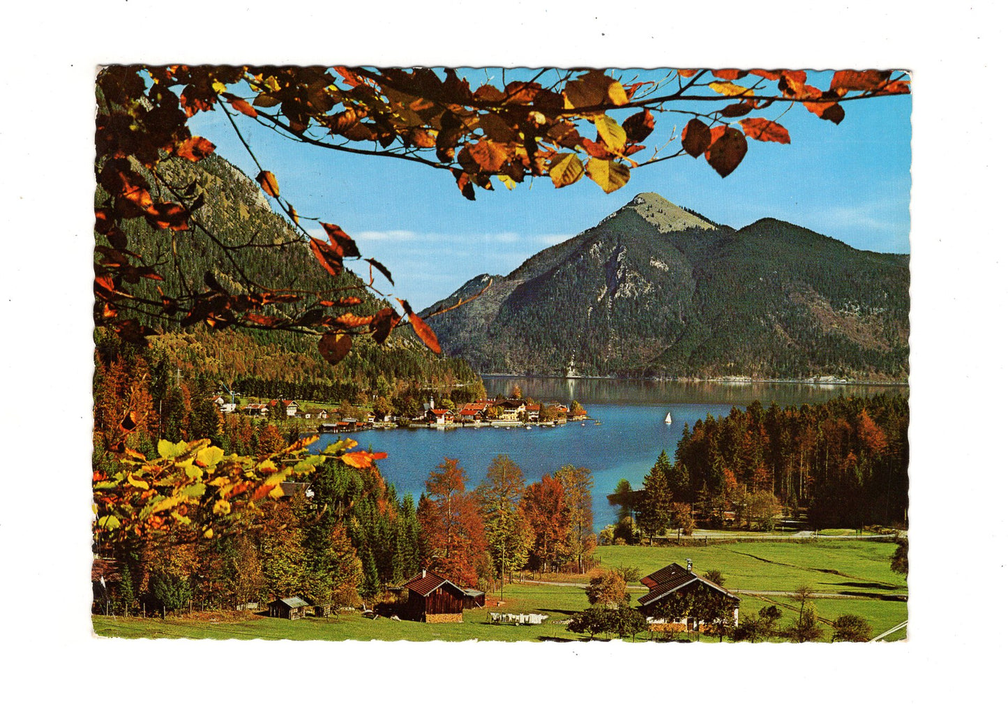 Ansichtskarte Walchensee gegen Jochberg